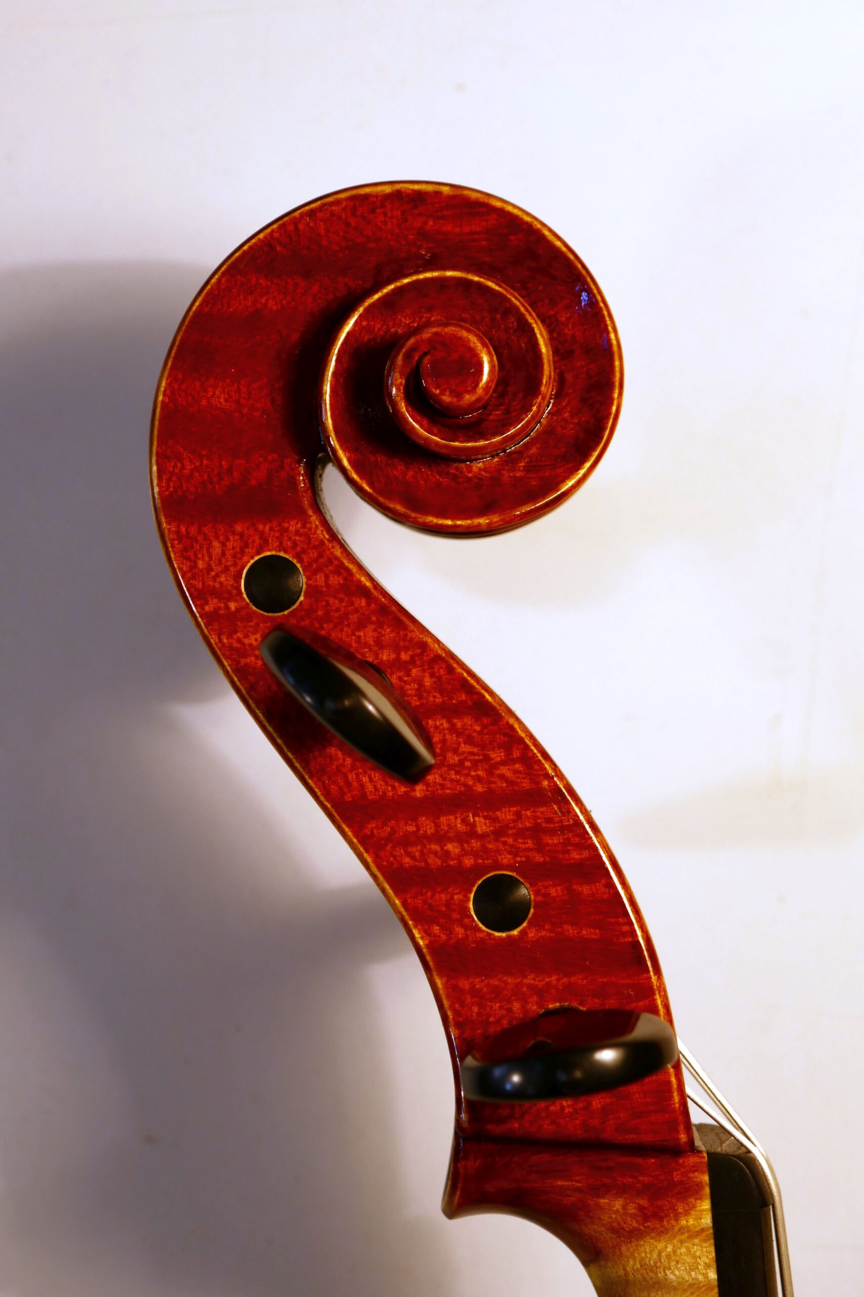 Viola op.89