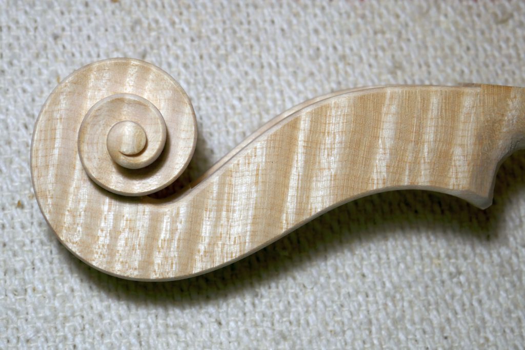 op.90, fertige Schnecke